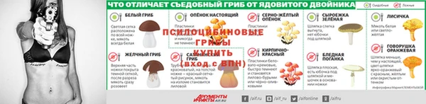 a pvp Алзамай