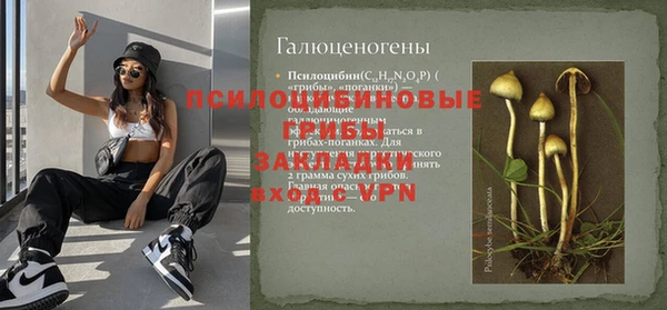 a pvp Алзамай