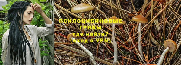 a pvp Алзамай