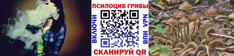 Псилоцибиновые грибы мицелий  гидра   Жуков 